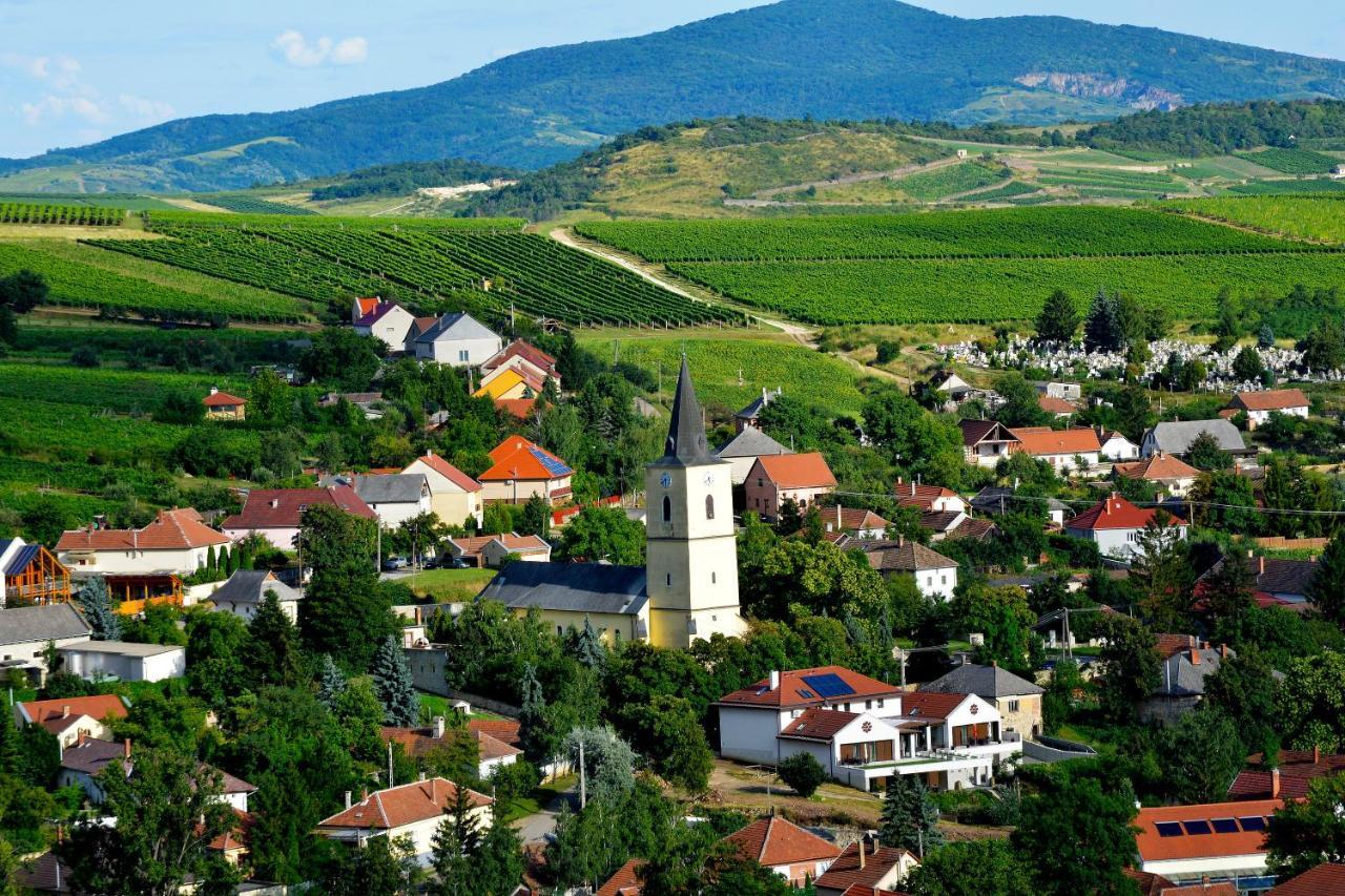 Demetervin Hotel Mád Kültér fotó